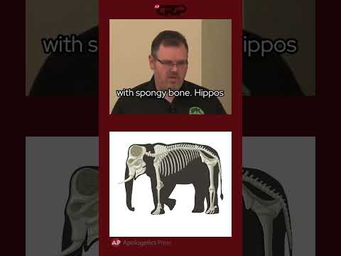 Hqdefault